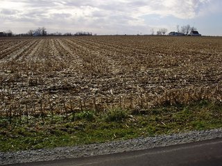 Property photo 21 - LAND AUCTION - 230+/- ACRES IN 5 TRACTS IN WAYNE COUNTY, INDIANA